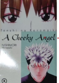 Image of A cheeky angel vol. 2